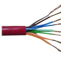 CAT.5 100MHz Cable(FEP)