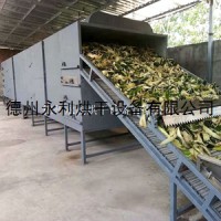 工厂出售带式冬瓜皮烘干机 大型果蔬干燥设备