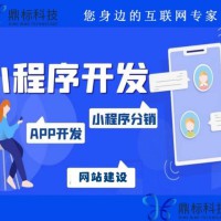 企业官网定制开发制作